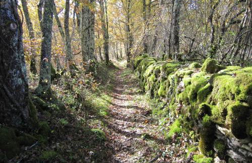 Les choses de la vie - Foto 27