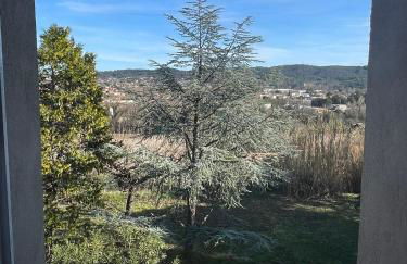 Mas de Rofa proche Pôle mécanique Alès - Foto 50