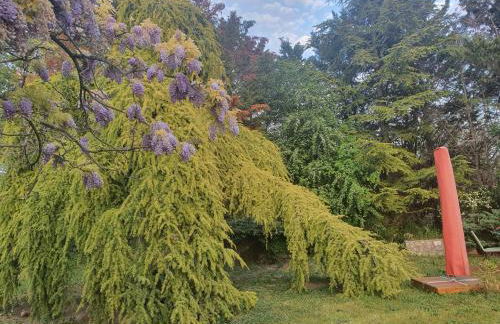 Gite au coeur de la Provence & SPA - Foto 31