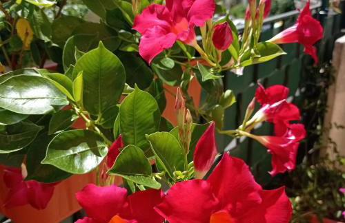 Domus REA - Appartamento moderno con check-in automatico H24 e area esterna privata - Foto 14