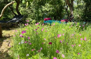 Lovely stay in provence - Foto 13