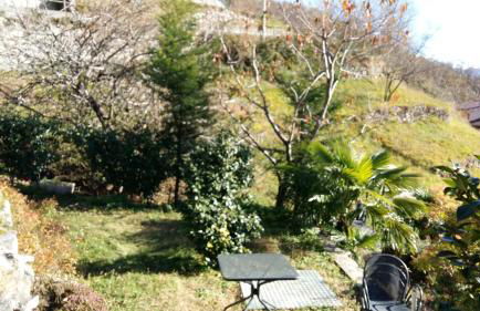 Casa delle Camelie - Foto 7