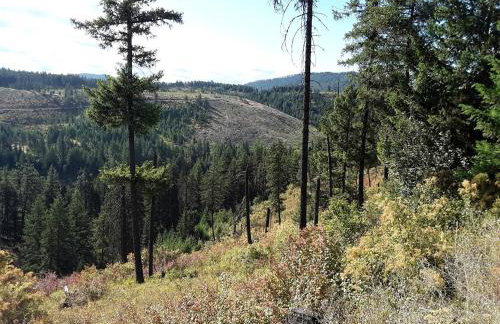 Cute Off-Grid Glamping Cabin Rental in Idaho for Relaxing Nature Getaways - Foto 7