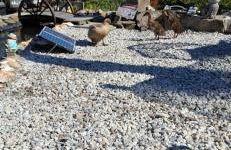 Cosy Cornish Cabin - Foto 10