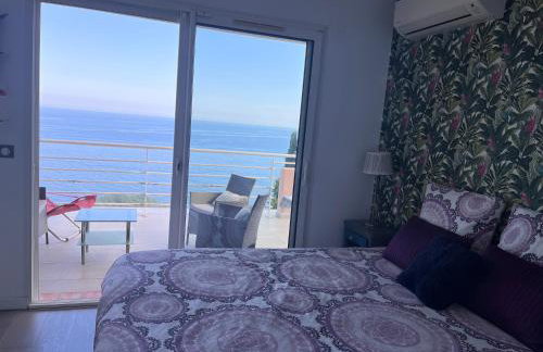 Vue mer.Tranquilité.Cap d'Ail à 10 mn de MONACO - Foto 11
