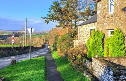 Venus 3 - Uk50473 - Foto 14