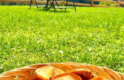 La Era de Lardiés - Photo 21