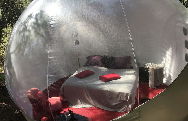 Domaine de la Tuilière - Foto 5