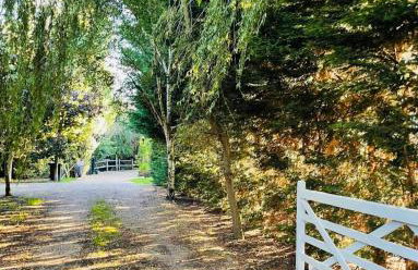 Spacious Cabin with Private Hot Tub, and Private Pool, in 5 Acres - intimate Special stay For 2 Adults - plus 1 child under 2 and up to 2 dogs stay for free - Foto 8