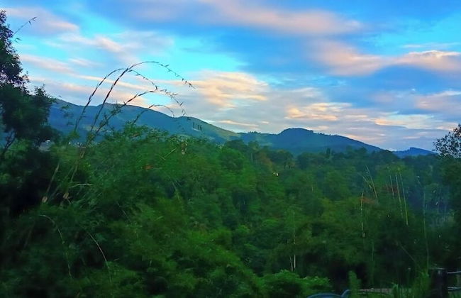 Galkotuwa Estate - Foto 13