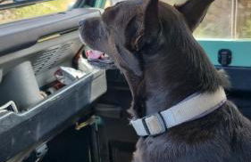 Scauribasso14 - Foto 61