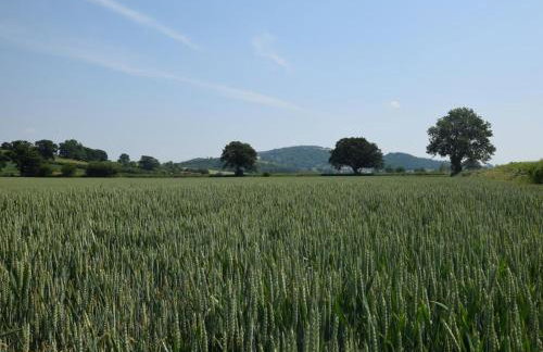 3 Bed in Presteigne oc-78350 - Foto 36