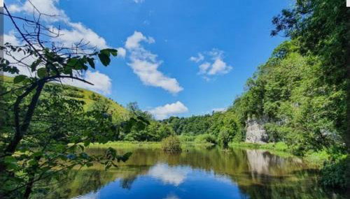 The Green Room - Foto 2