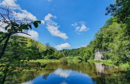 The Green Room - Photo 2