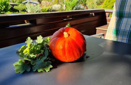 Ferienhaus BIBERCHALET und BIBERBAU - Foto 11