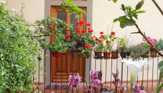 Faenza Novella - Photo 3, Garden view