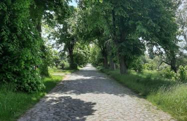 Ferienwohnung Milow - Foto 31