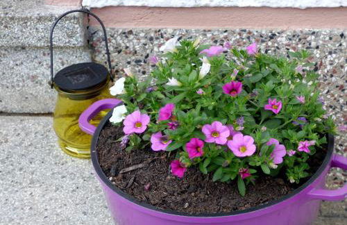 Relaxen am Eifelbach - Foto 38