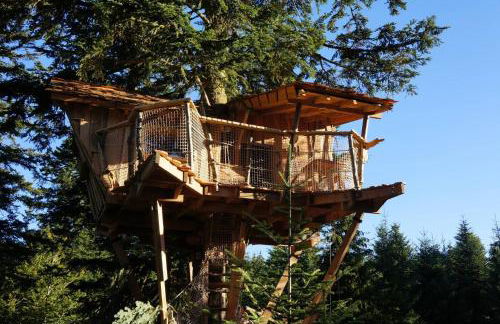 Cabanes des Volcans - Foto 3