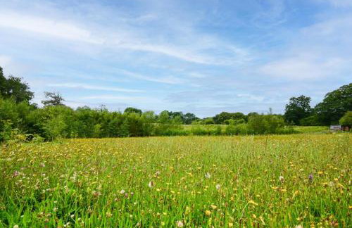 3 Bed in Dartington oc-b30033 - Foto 11