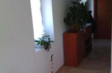 Apartments with a parking space Lukoran (Ugljan) - 11203 - Foto 17