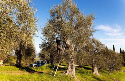 Vitabella Toscana - Foto 38