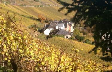 Haus der Weinkönigin Kristina - Foto 21