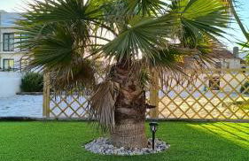 A Praia, My Own Paradise- Estúdio - Foto 20