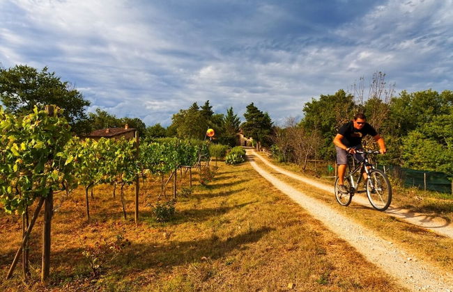 Villa Antico Podere Rota - Foto 39
