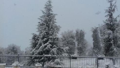 Appartamento Montefumaiolo - Foto 4