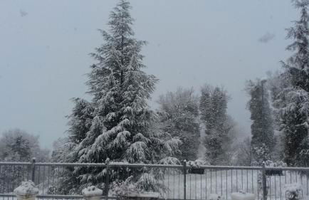 Appartamento Montefumaiolo - Foto 4