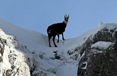 RELAX CHALET Nature Retreat - isolé sur 3 hectares - confort de LUXE - maison entière 150m2 - près de La Bresse - Foto 44