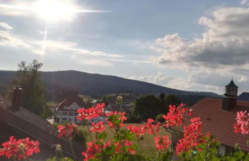 Apartment mit großer Dachterrasse by Interhome - Foto 17