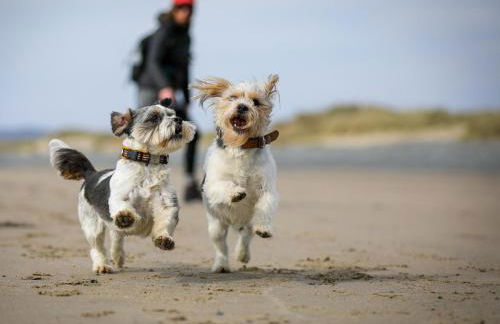 2 Bed in Llwyngwril 75026 - Photo 26