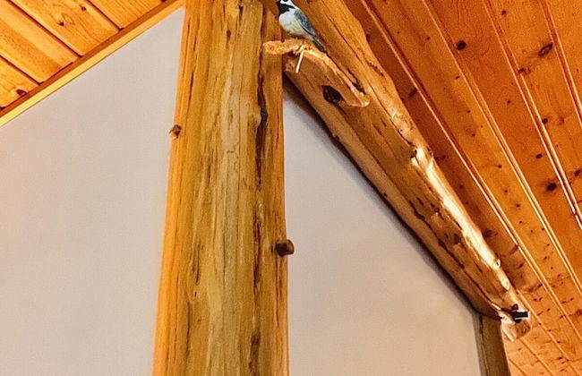 Boardman Monarch Upscale River Lodge HOT Tub! - Foto 54