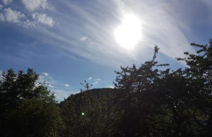 Idyllische Wohnung mitten in der Natur „ Haus Magnolia „ - Foto 10