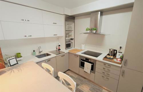 BEC, Hospital Cruces, parking gratis, wifi, AA, a 15 min de Bilbao - Foto 12