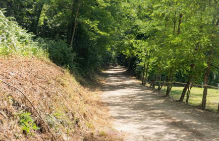 Majordoms Baseia - jardí i accés privat a La Fageda - Photo 41