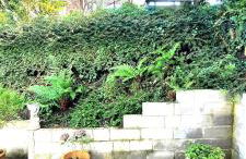 Das kleine Paradies - Foto 34