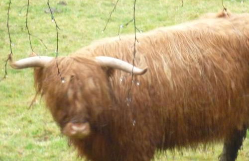 Camusmore House - Foto 23