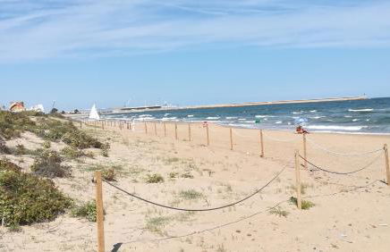 Estudio con patio en Daimus niños y mascotas consultar - Foto 16