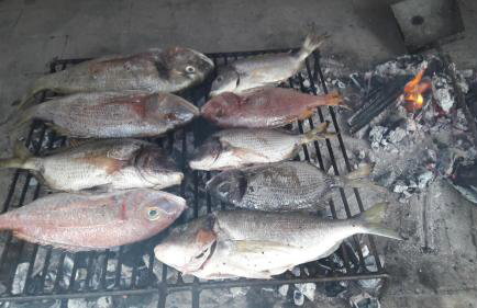 Apartments Villa Stina - Photo 7