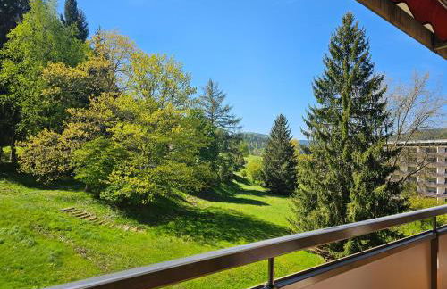 Ferienwohnung "Hirschlein" im Schwarzwald - Foto 12