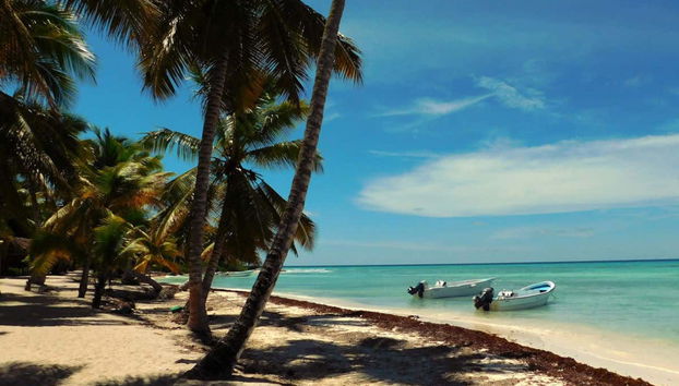 Saona Island Boat Trip - Foto 4