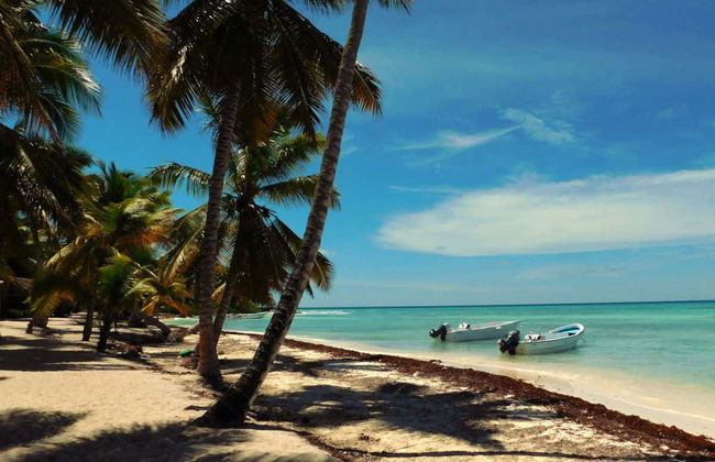 Excursion à l'île de Saona en bateau - Photo 4