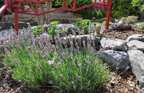 Das Hideaway zum Seele baumeln lassen ! - Foto 13