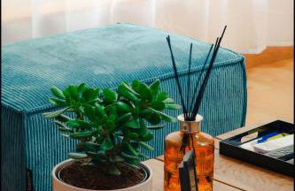 grand loft avec patio proche des quais Strasbourg - Foto 9