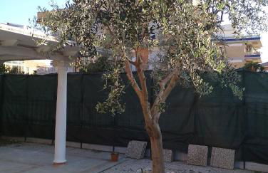 Stella Marina - Foto 18