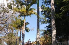 Pousada - Flat - Kitnet Mobiliada - 25m2 de Conforto e Segurança - Perto de Tudo - Foto 30