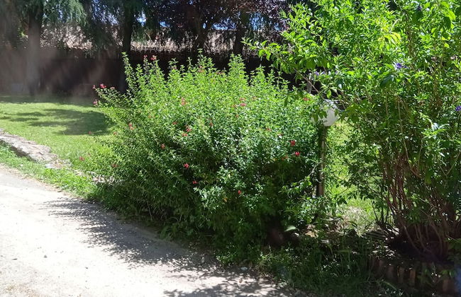 LA CASONA - Photo 17